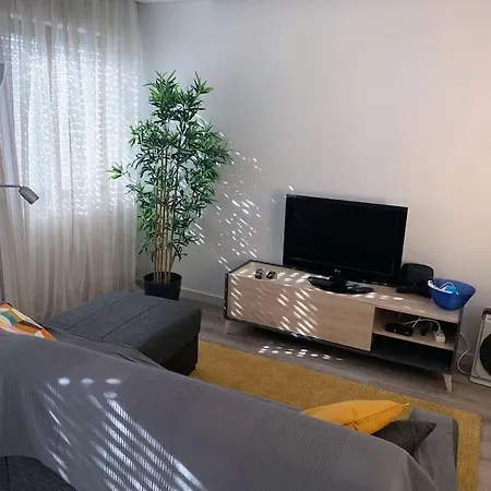 Eucalipto * Quarteira